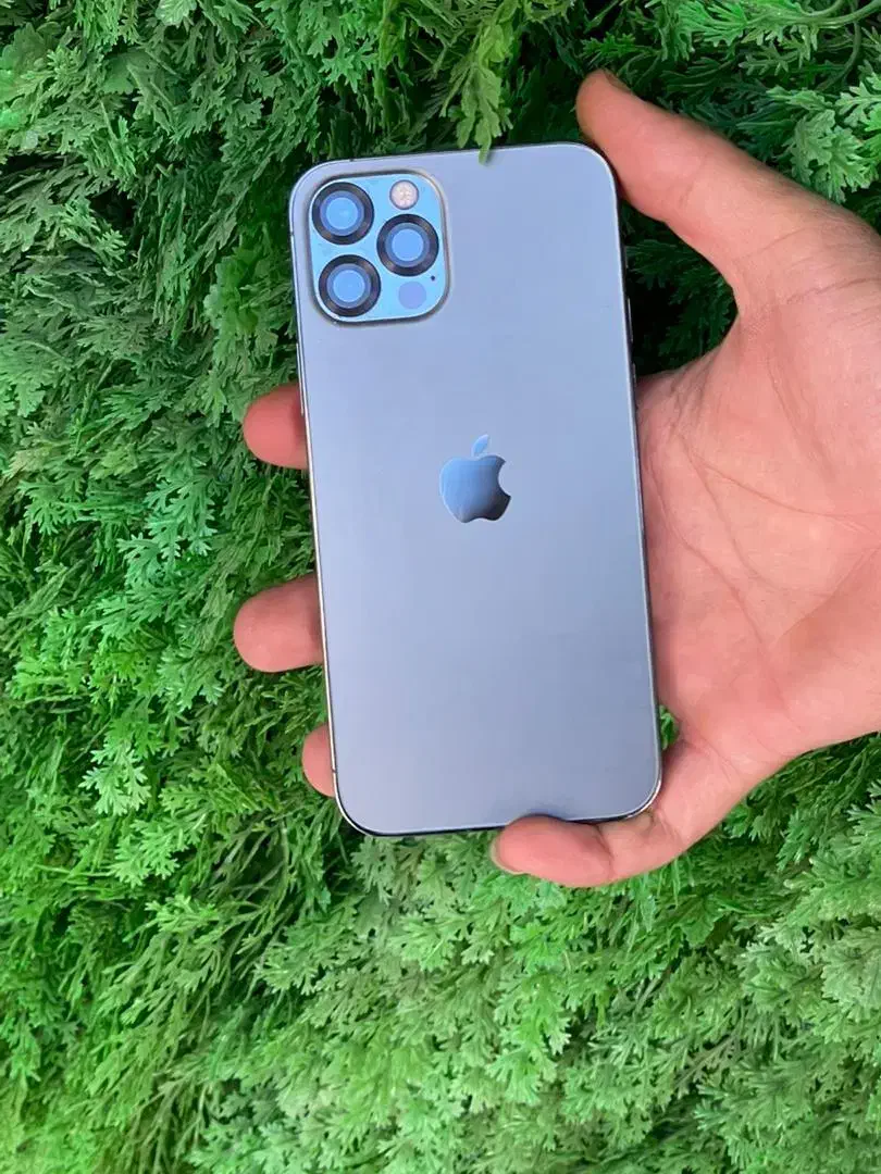 ایفون ۱۲ پرو|موبایل|سبزوار, قائم|دیوار