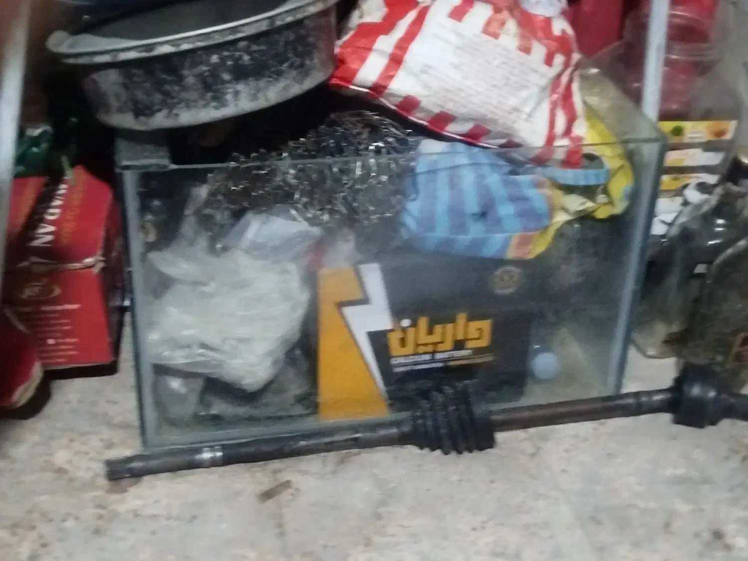 آکواریوم|ماهی|بم, |دیوار