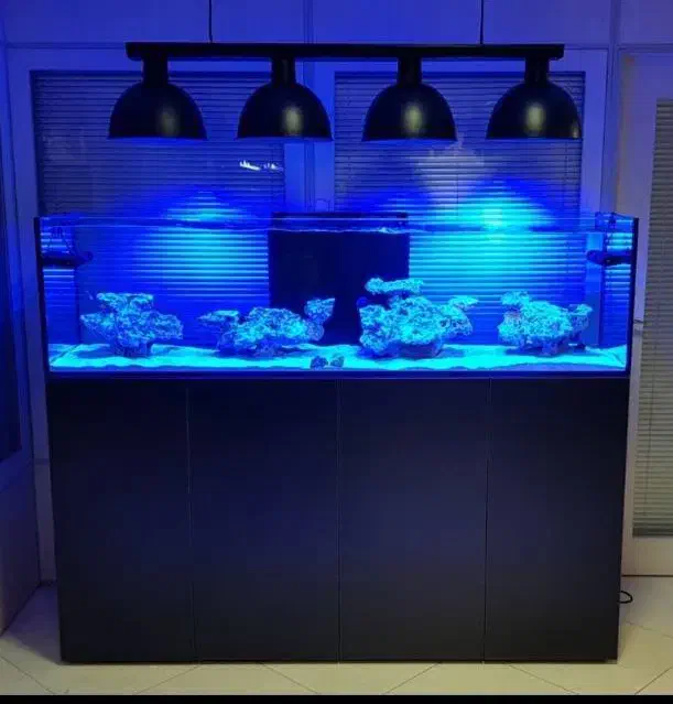 ساخت آکواریوم آب شور|ماهی|تهران, اسکندری|دیوار