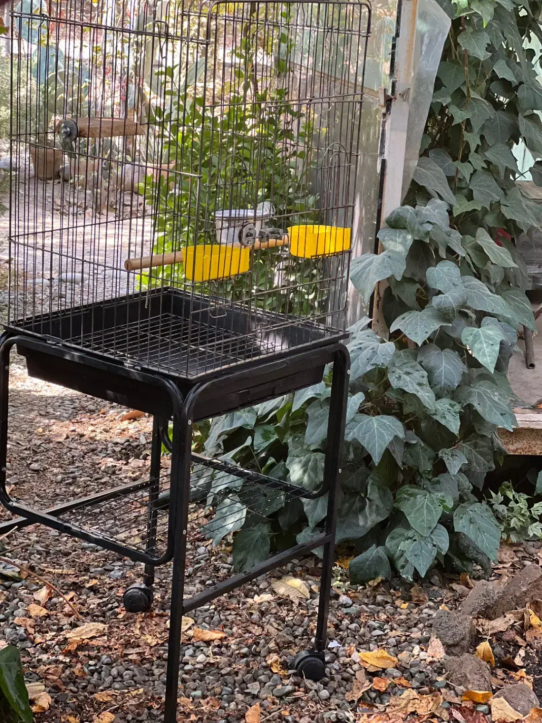 قفس و پایه|لوازم جانبی حیوانات|کرج, شهرک بنفشه|دیوار