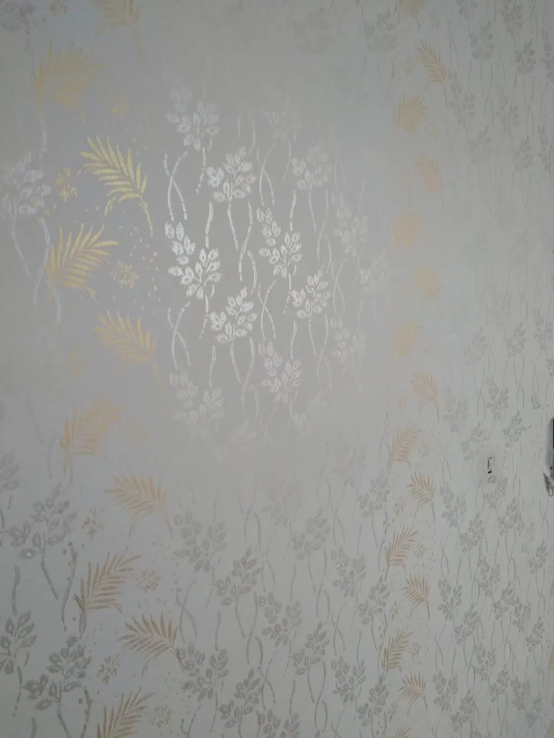 نقاشی منزل وطرح رنگ کاغذ دیواری|خدمات پیشه و مهارت|آستارا, |دیوار