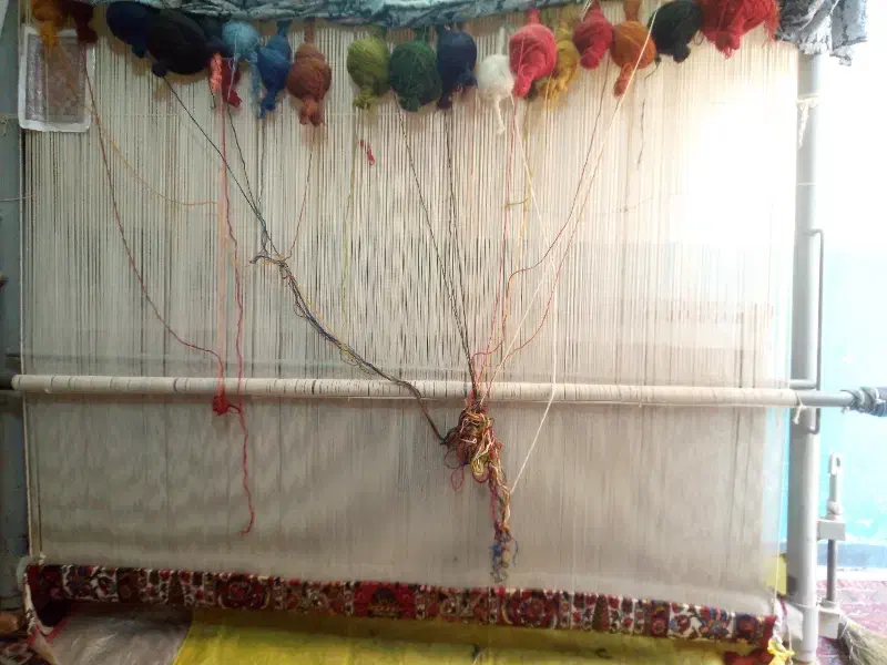 قالی دست باف 3/20*2/20|فرش|شهرکرد, |دیوار