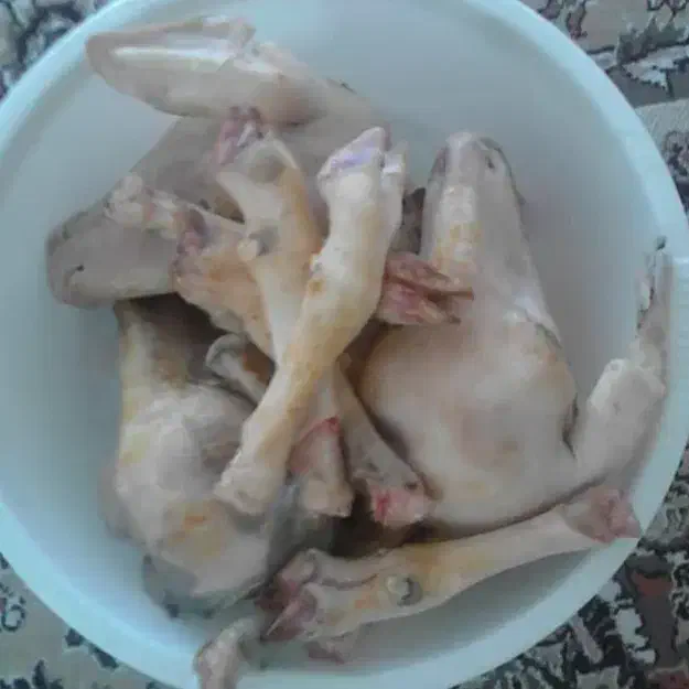 کله پاچه پاک شده و بهداشتی|خوردنی و آشامیدنی|ایلام, |دیوار