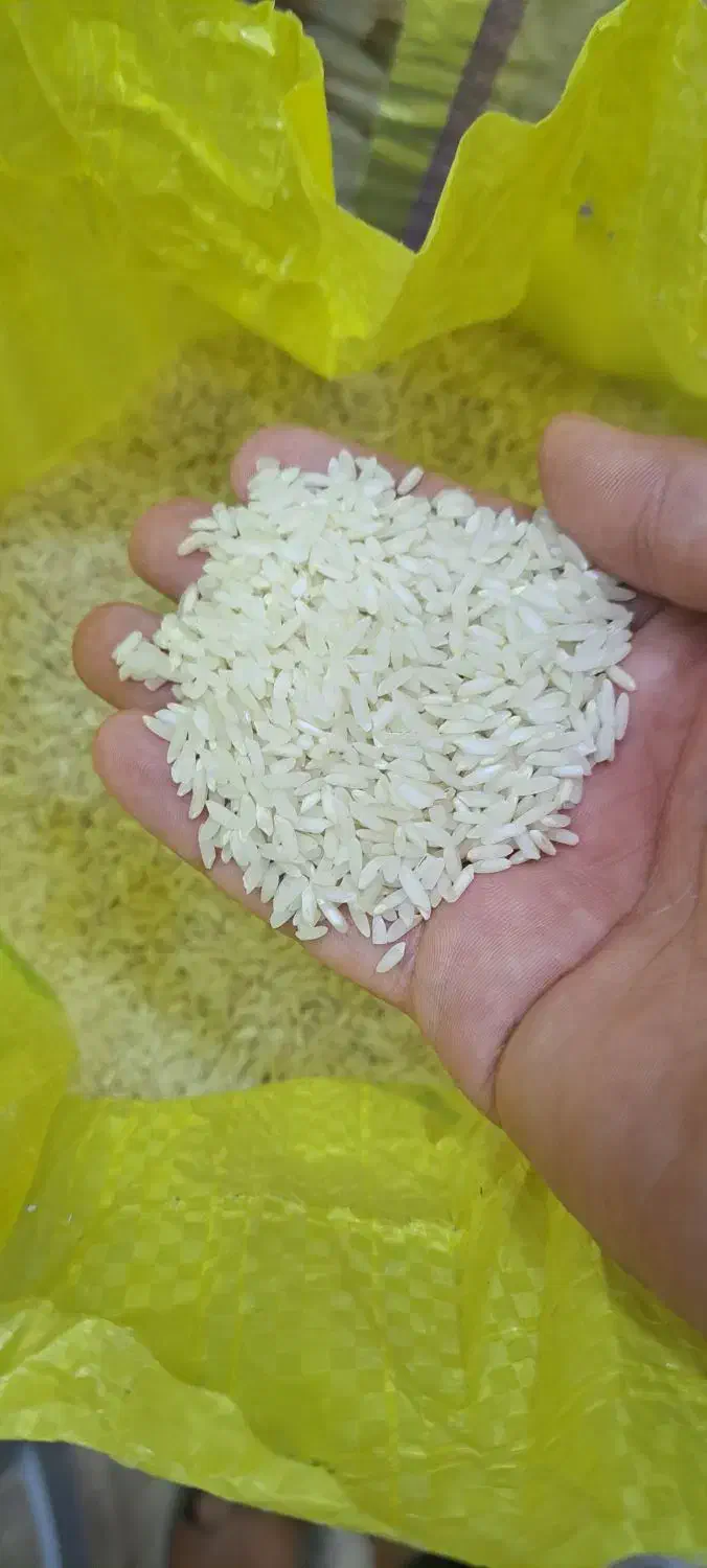 چای و برنج سادات حسینی|خوردنی و آشامیدنی|خرمشهر, |دیوار