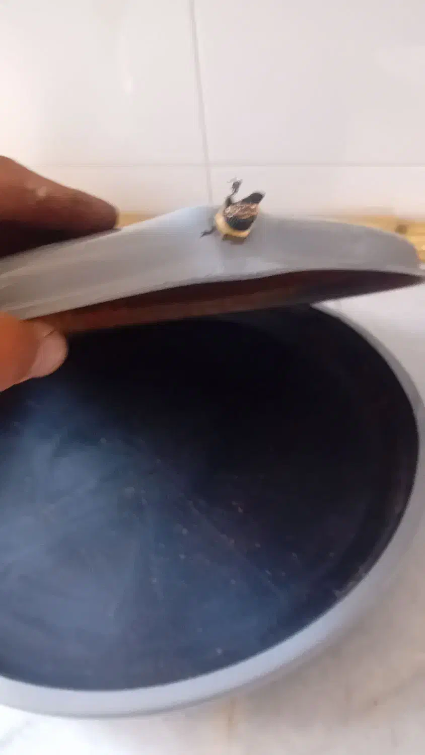 تعمیرات تخصصی مجاز پکیج و برد در محل تضمینی|خدمات پیشه و مهارت|کرمان, |دیوار