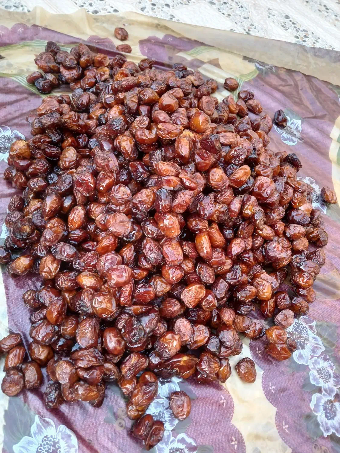 فروش خرمای خاصه اعلا زرد.|خوردنی و آشامیدنی|جم, |دیوار