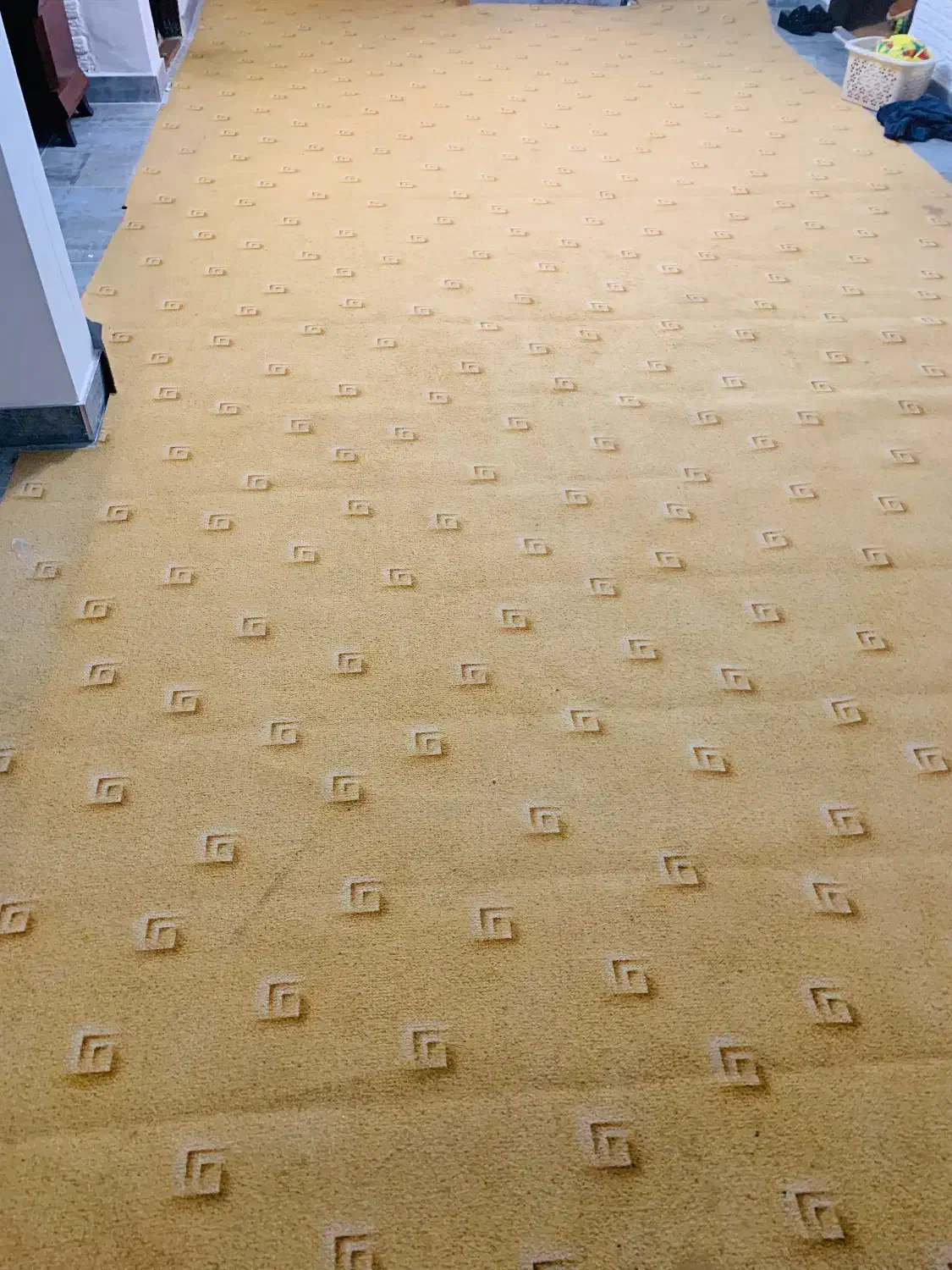 موکت|موکت|ساری, |دیوار