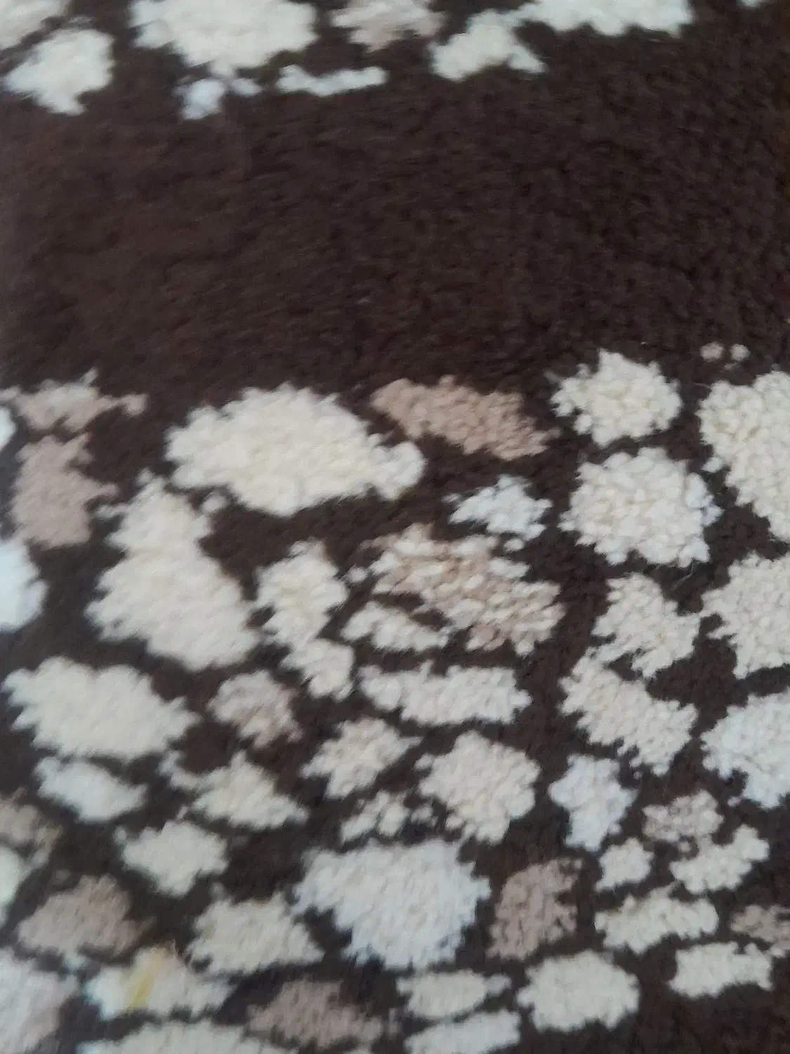 سالم وتمیز|فرش|ارومیه, |دیوار