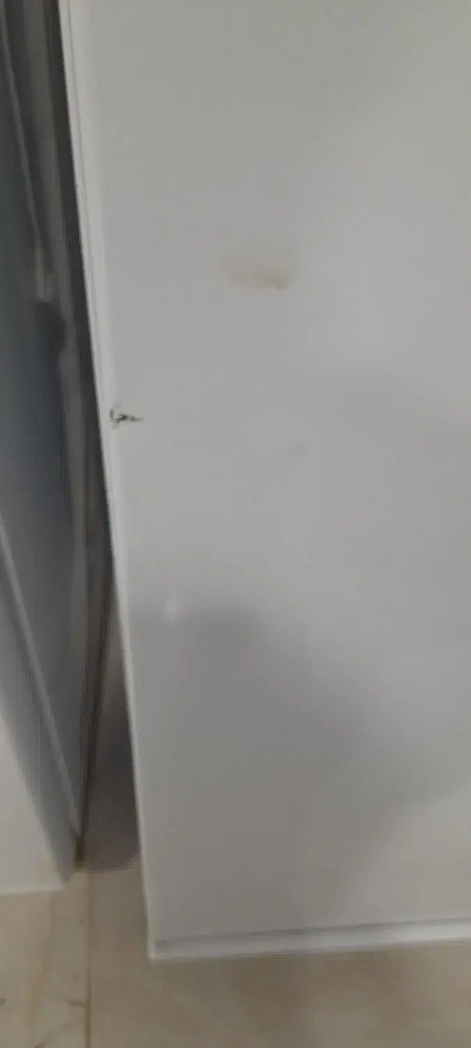 یخچال دوقلو|یخچال و فریزر|ارم, |دیوار