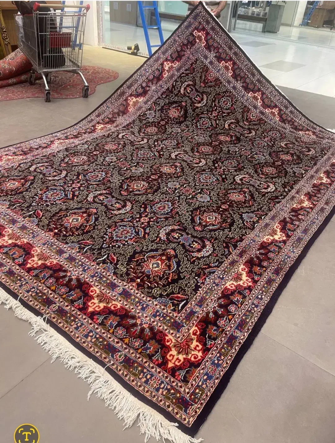 فرش دستباف (بساک) تک ۹ متری نقشه  جدید مدرن|فرش|مشکین‌دشت, |دیوار