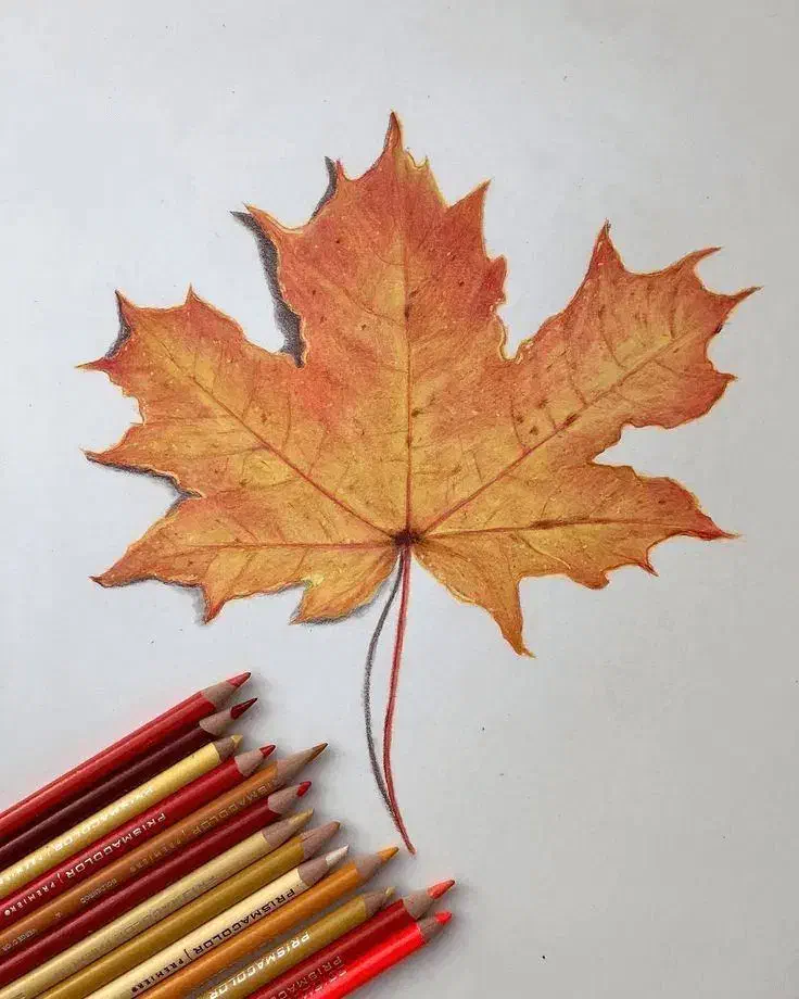 جذب نیرو|استخدام صنعتی، فنی، مهندسی|مشکیندشت, |دیوار