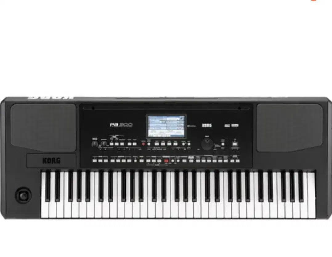 کیبورد Korg pa300|پیانو، کیبورد، آکاردئون|شیراز, باهنر|دیوار