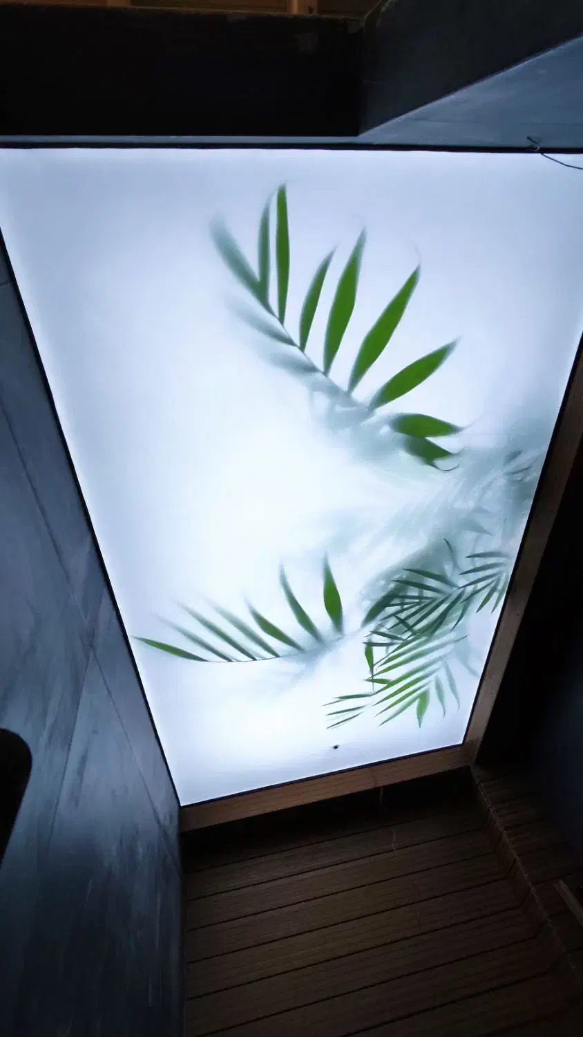 سقف کشسان|مصالح و تجهیزات ساختمان|قائمشهر, |دیوار