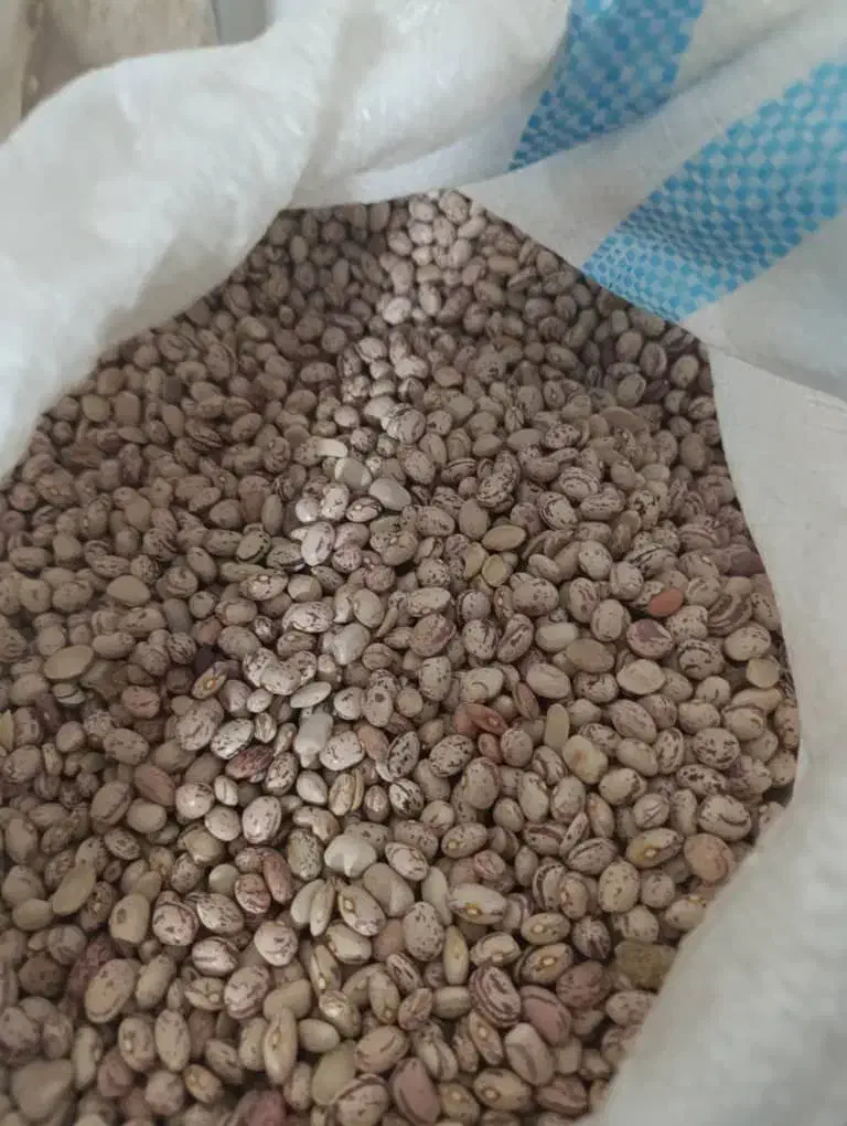 خریدوفروش|فعالیت داوطلبانه|اقلید, |دیوار