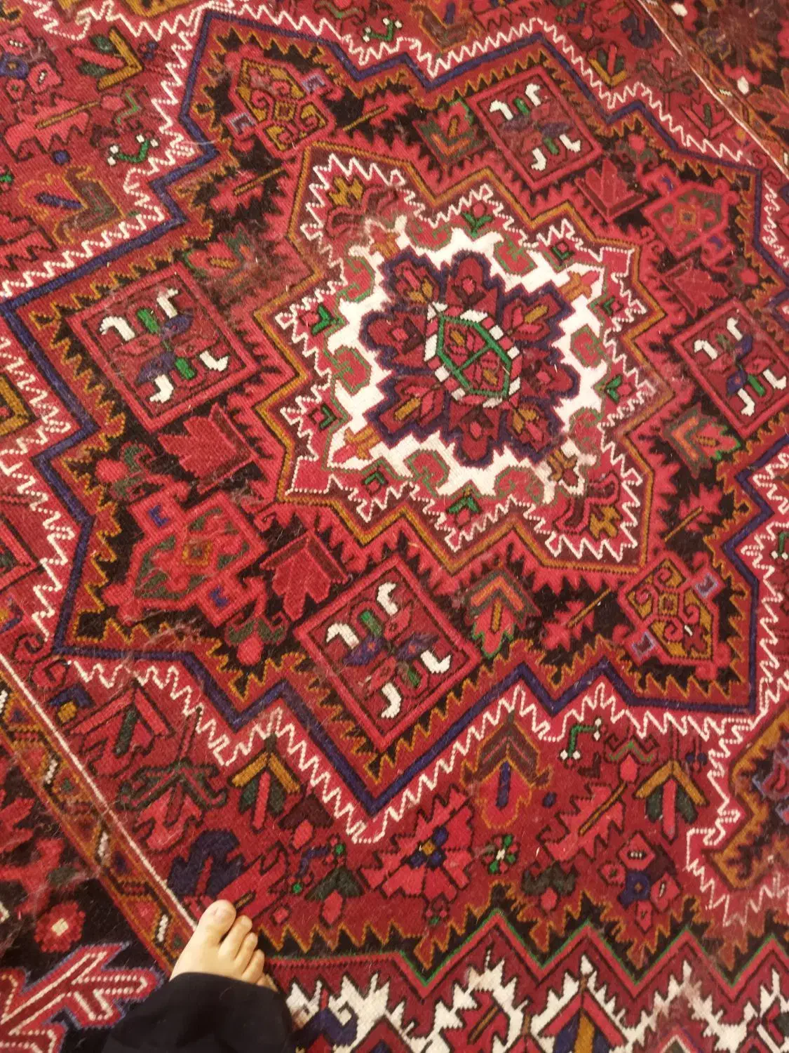 فرش چشمزان|فرش|اهر, |دیوار