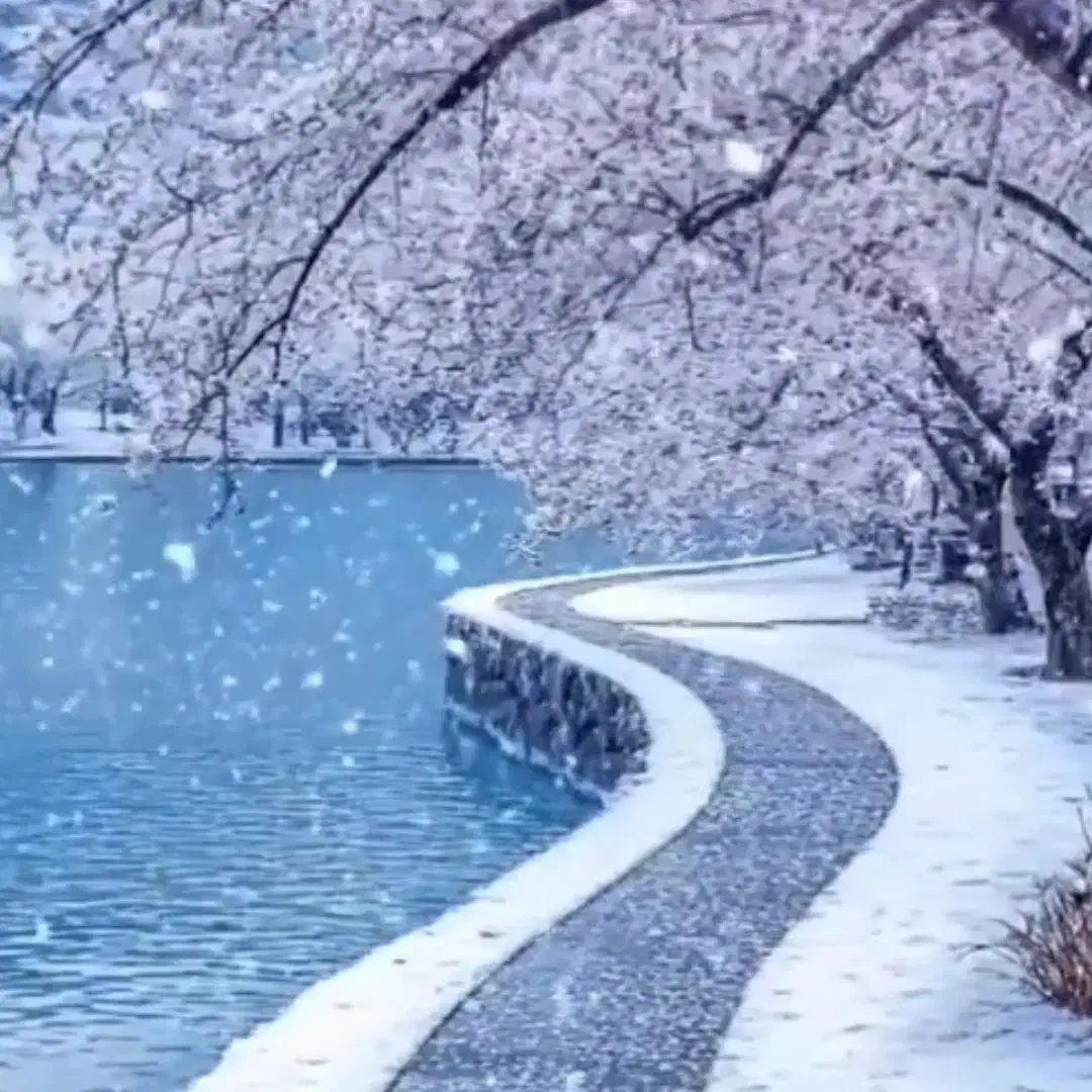 همخونه..|اجارهٔ خانه و ویلا|سیرجان, |دیوار