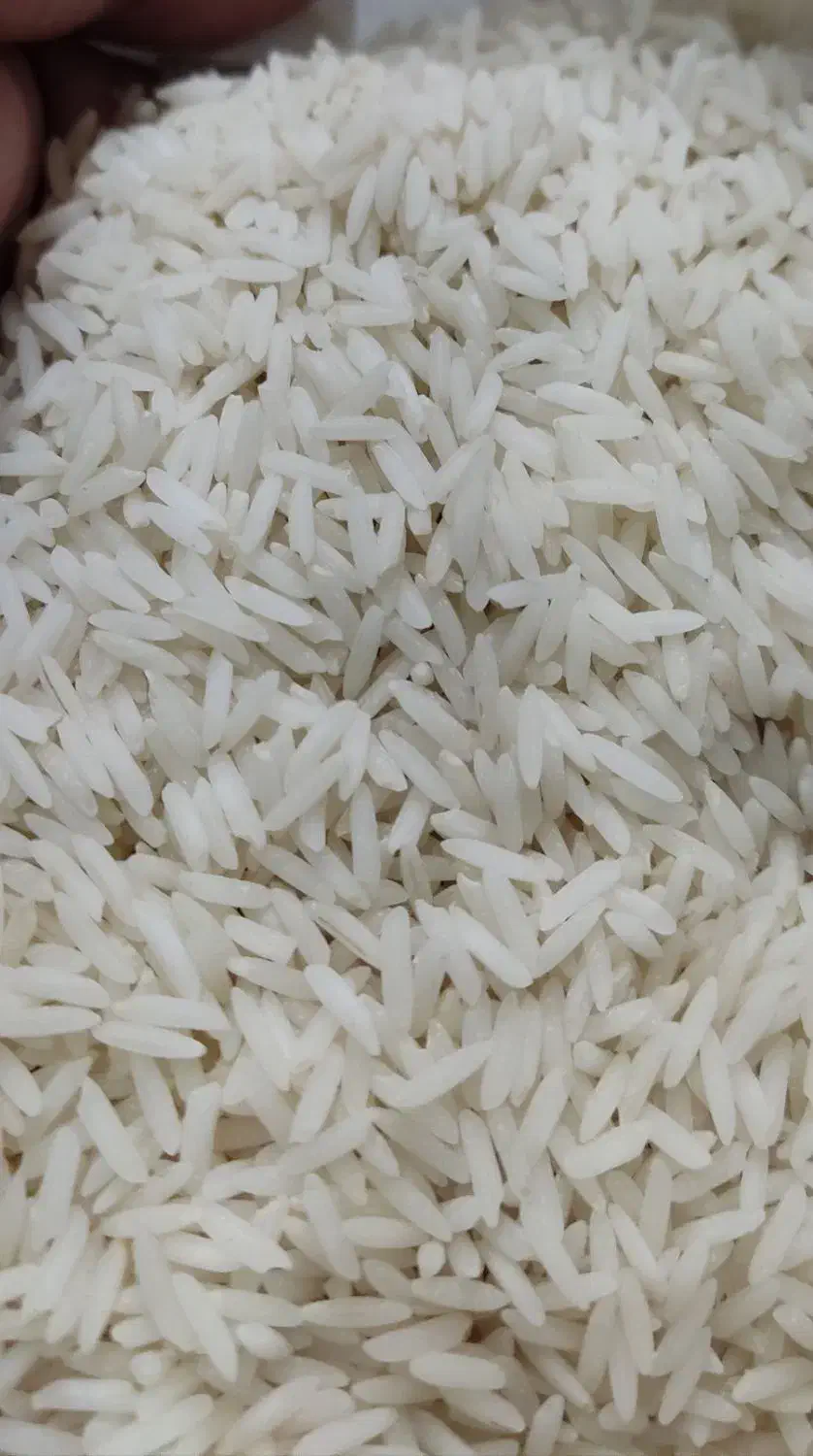 طارم صدری گیلان برنج فوق‌العاده با کیفیت|خوردنی و آشامیدنی|قم, زند آباد|دیوار