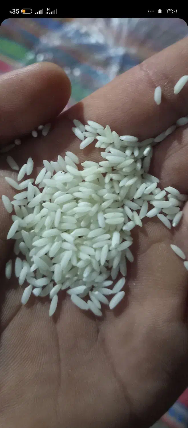 برنج|خوردنی و آشامیدنی|شادگان, |دیوار