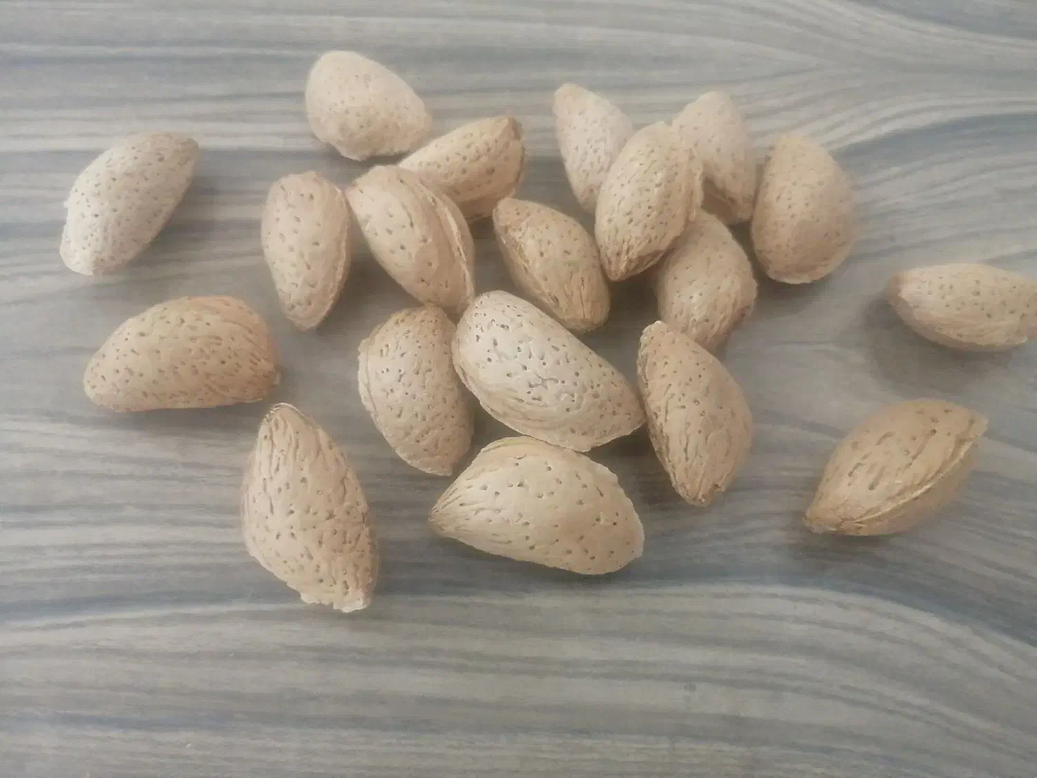 بادام درختی (خوراکی)|خوردنی و آشامیدنی|تهران, آرژانتین|دیوار