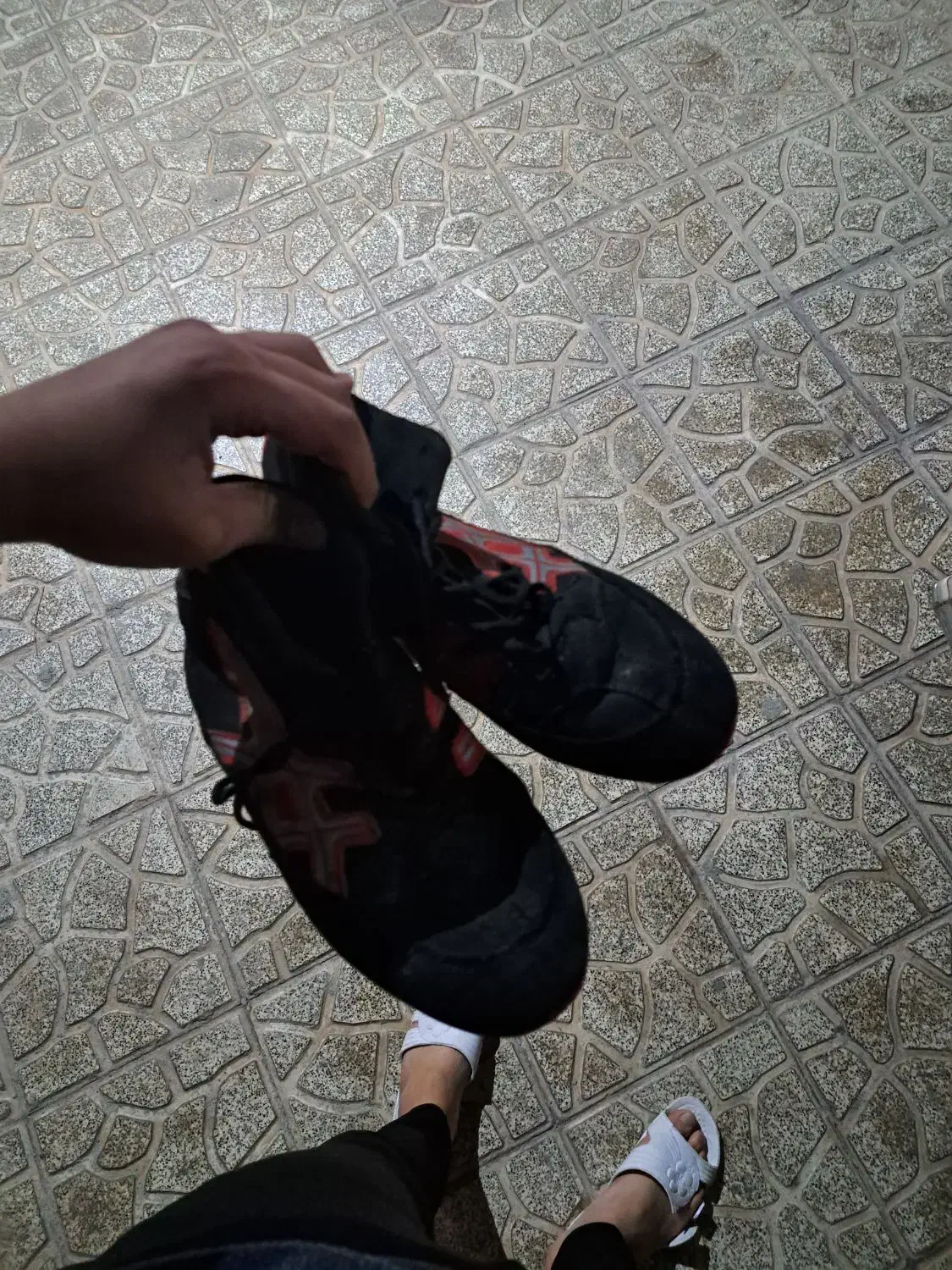 کفش کشتی|کیف، کفش، کمربند|شاندیز, |دیوار