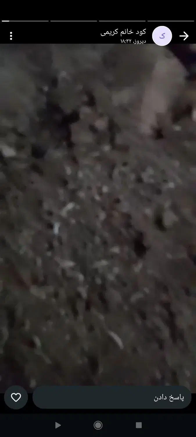 کود مرغ|گل و گیاه طبیعی|همدان, |دیوار