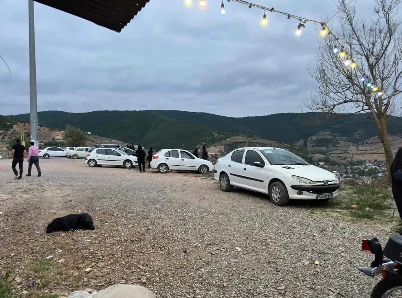 زمین|فروش زمین و ملک کلنگی|کیاسر, |دیوار