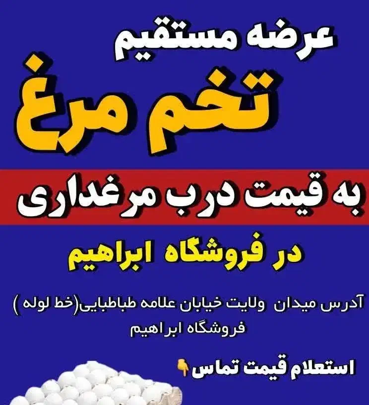 فروش تخم مرغ به فیمت درب مرغداری|خوردنی و آشامیدنی|شاهرود, |دیوار