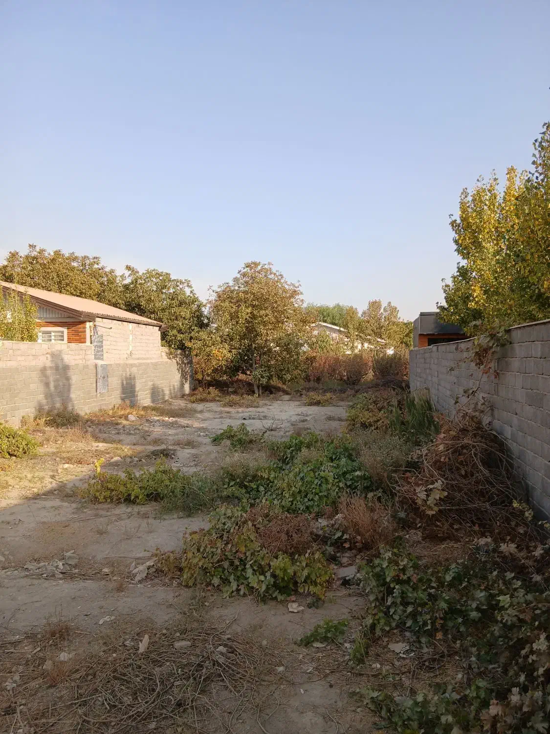 ۵۰۰مترباغچه سهیلیه سنقرآباد خیابان بنفشه|فروش زمین و ملک کلنگی|رامجین, |دیوار