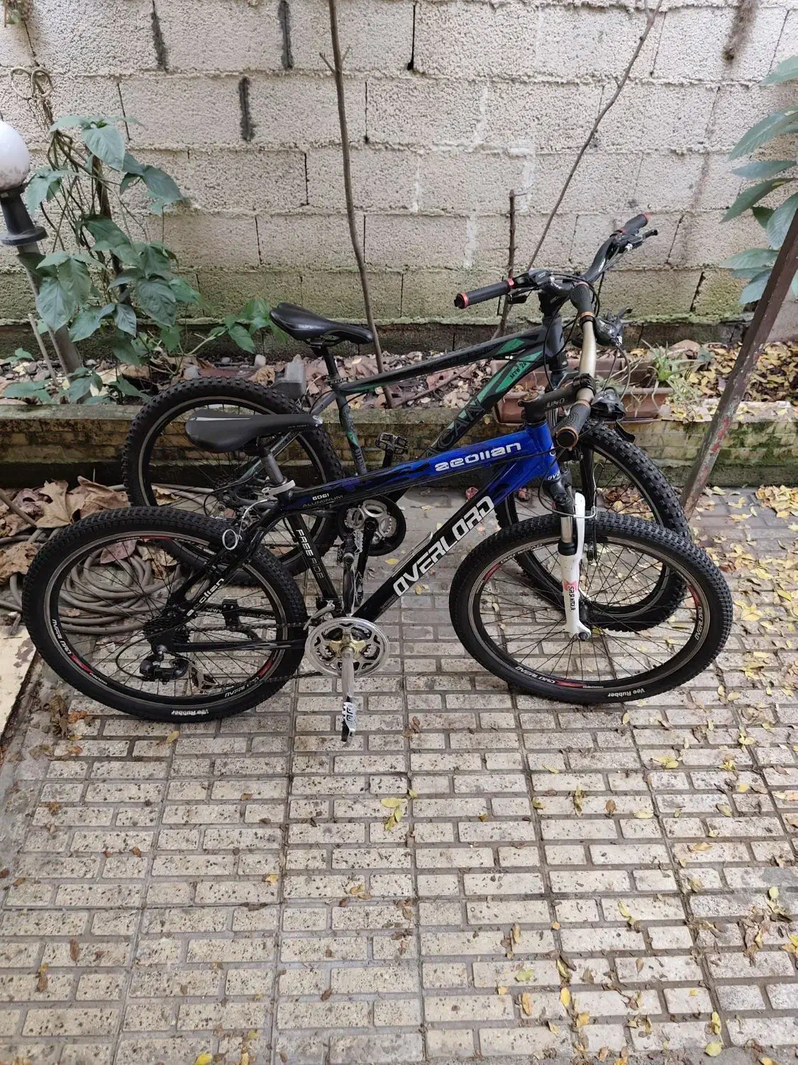 فروش دو دوچرخه 26|دوچرخه، اسکیت، اسکوتر|رشت, علی آباد|دیوار