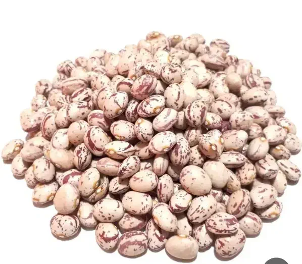 لوبیا چیتی خمین|خوردنی و آشامیدنی|باغ حلی, |دیوار