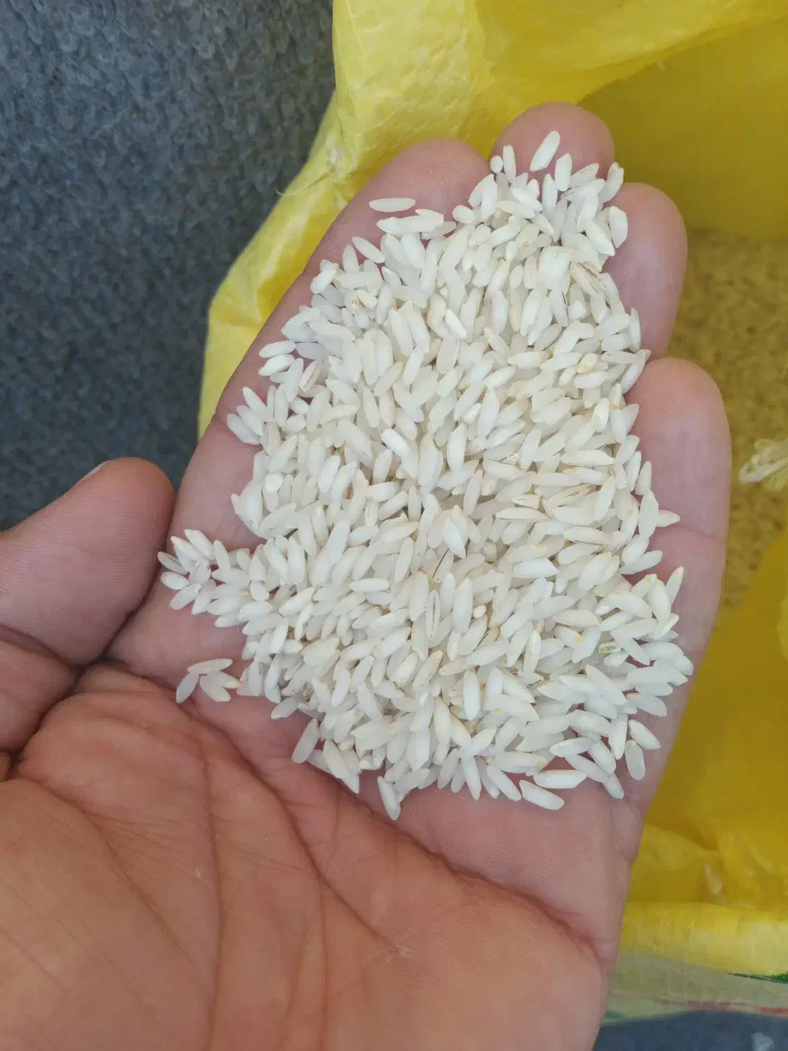 برنج|عمده‌فروشی|کرخه, |دیوار