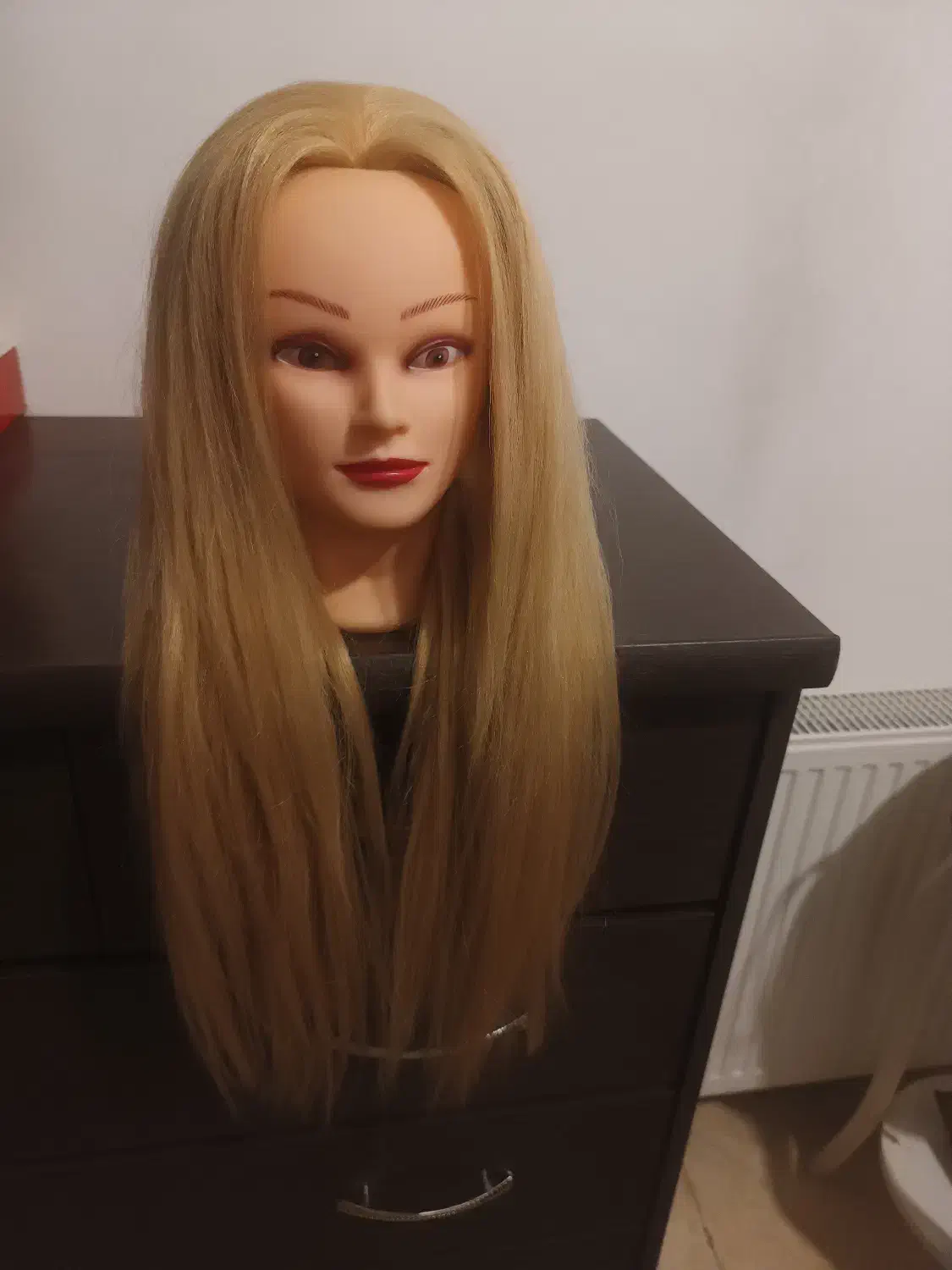 فروش کله مانکن و تعدادی موی طبیعی|آرایشگاه و سالنهای زیبایی|شیراز, غدیر شمالی|دیوار