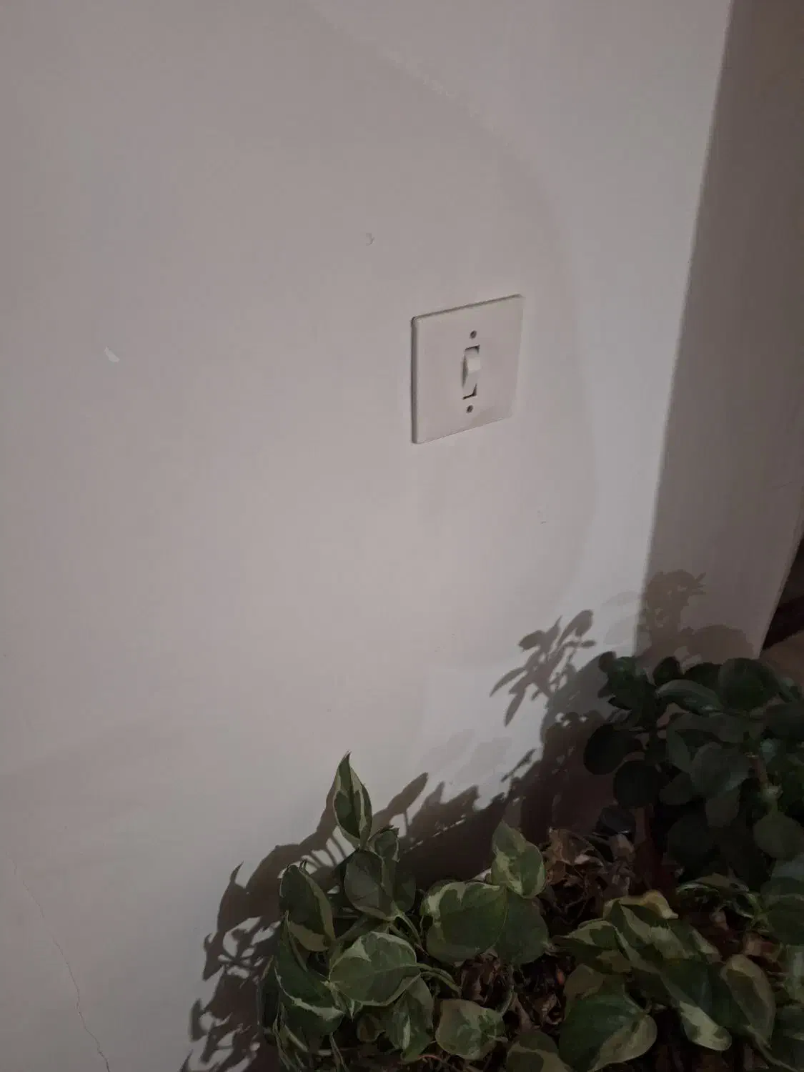 پارکینگ|فروش مغازه و غرفه|تبریز, |دیوار