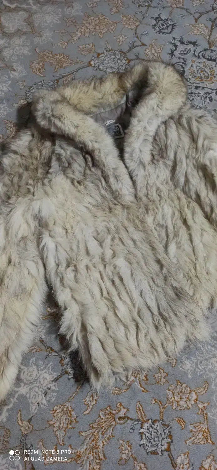 پالتو|لباس|زاهدان, |دیوار