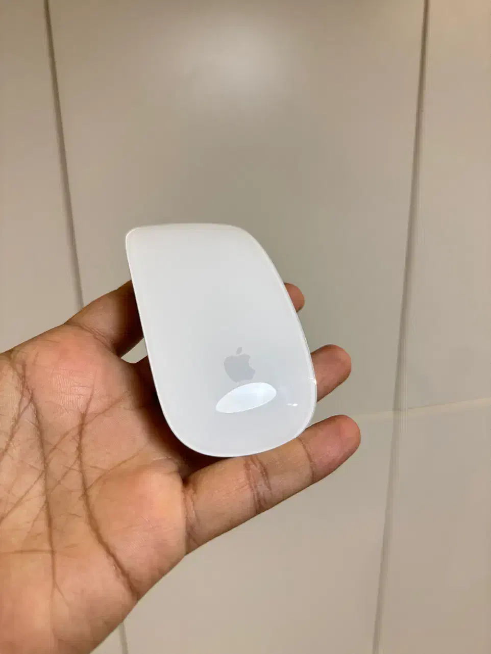 مجیک موس لایتنینگ|قطعات و لوازم جانبی رایانه|گرگان, |دیوار