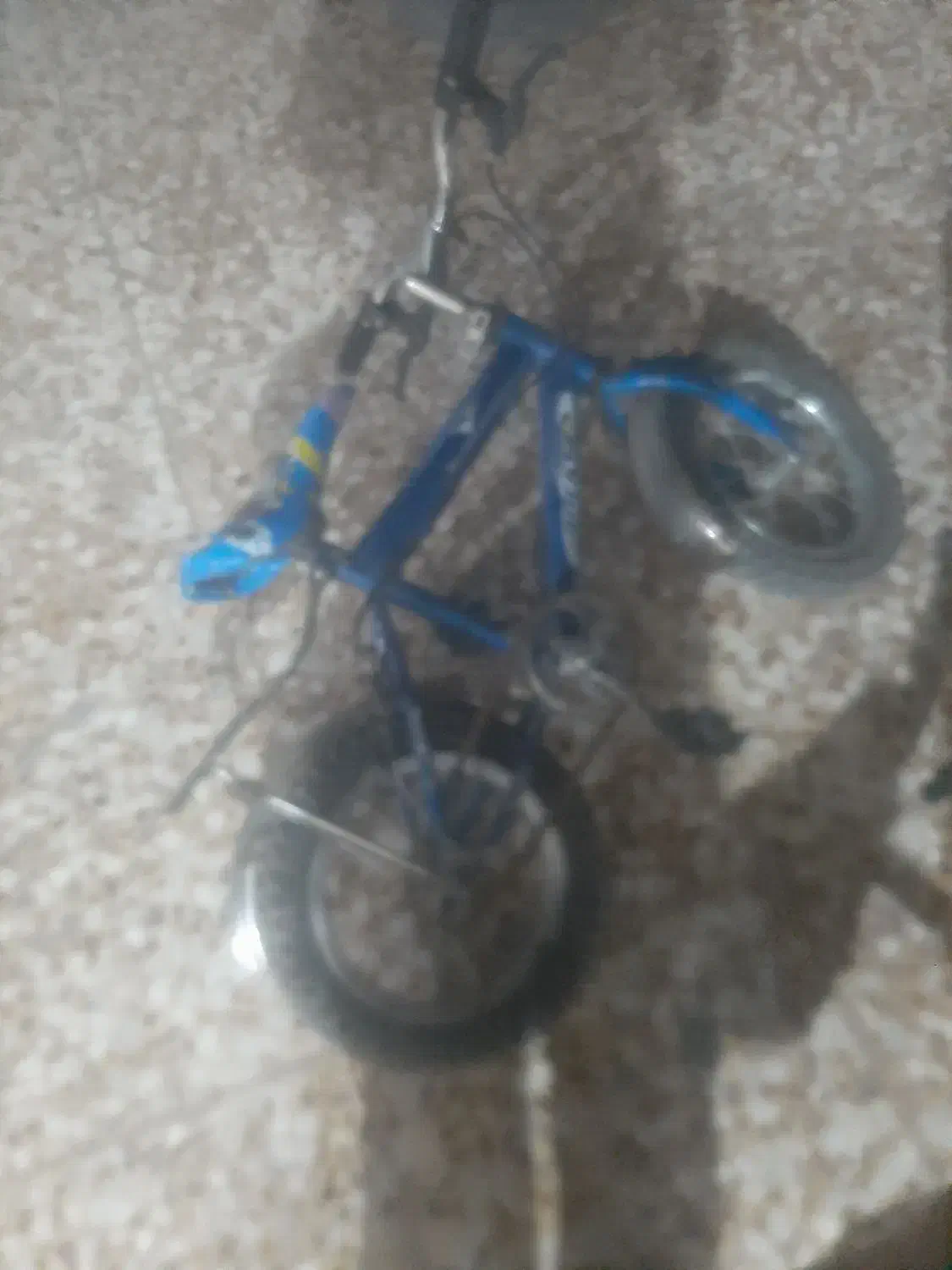 دوچرخه|دوچرخه، اسکیت، اسکوتر|دوگنبدان, |دیوار