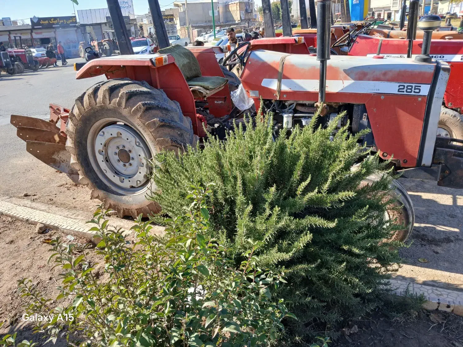 شخم زدن|خدمات باغبانی و درختکاری|کوهدشت, |دیوار