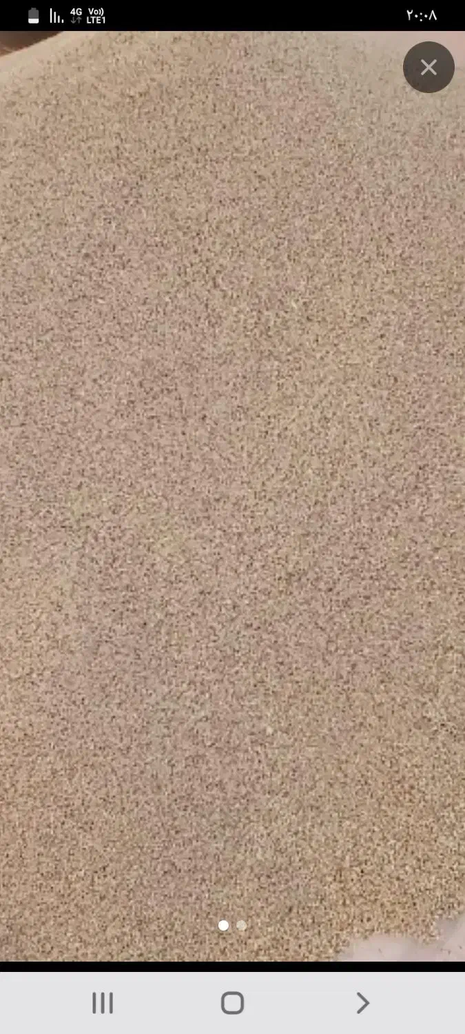 بذرو یاتوم اصلی و با ضمانت رشد و تضمین کیفیت|گل و گیاه طبیعی|کوهدشت, |دیوار