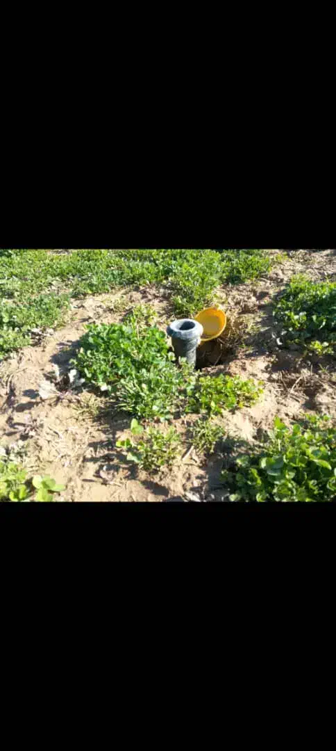 اجاره زمین کشاورزی|اجارهٔ دفتر صنعتی، کشاورزی، تجاری|مرودشت, محمد آباد|دیوار