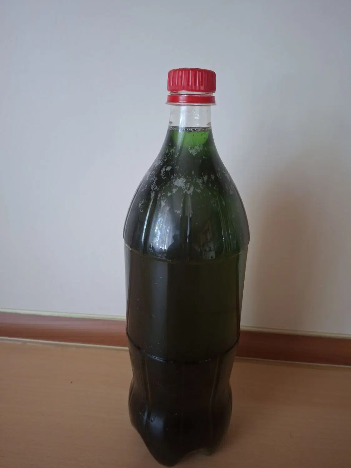 شربت نعنا و مربا آلبالو|خوردنی و آشامیدنی|تبریز, |دیوار