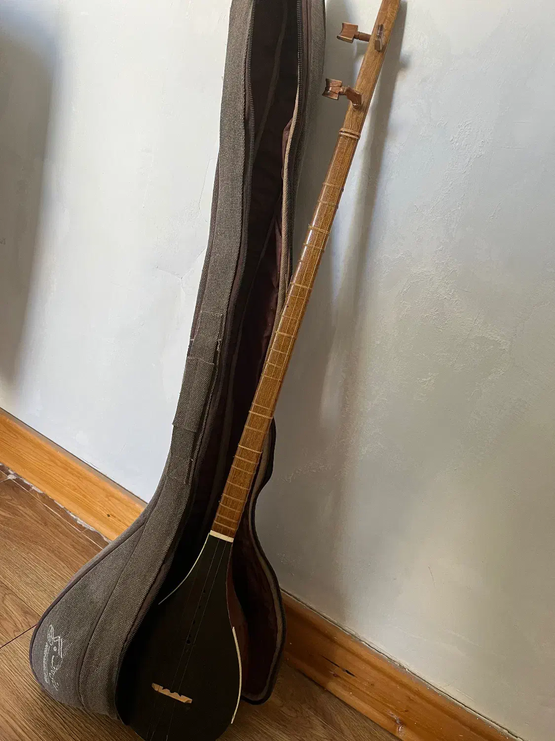 ستار با کیف|سازهای سنتی|شاهرود, |دیوار