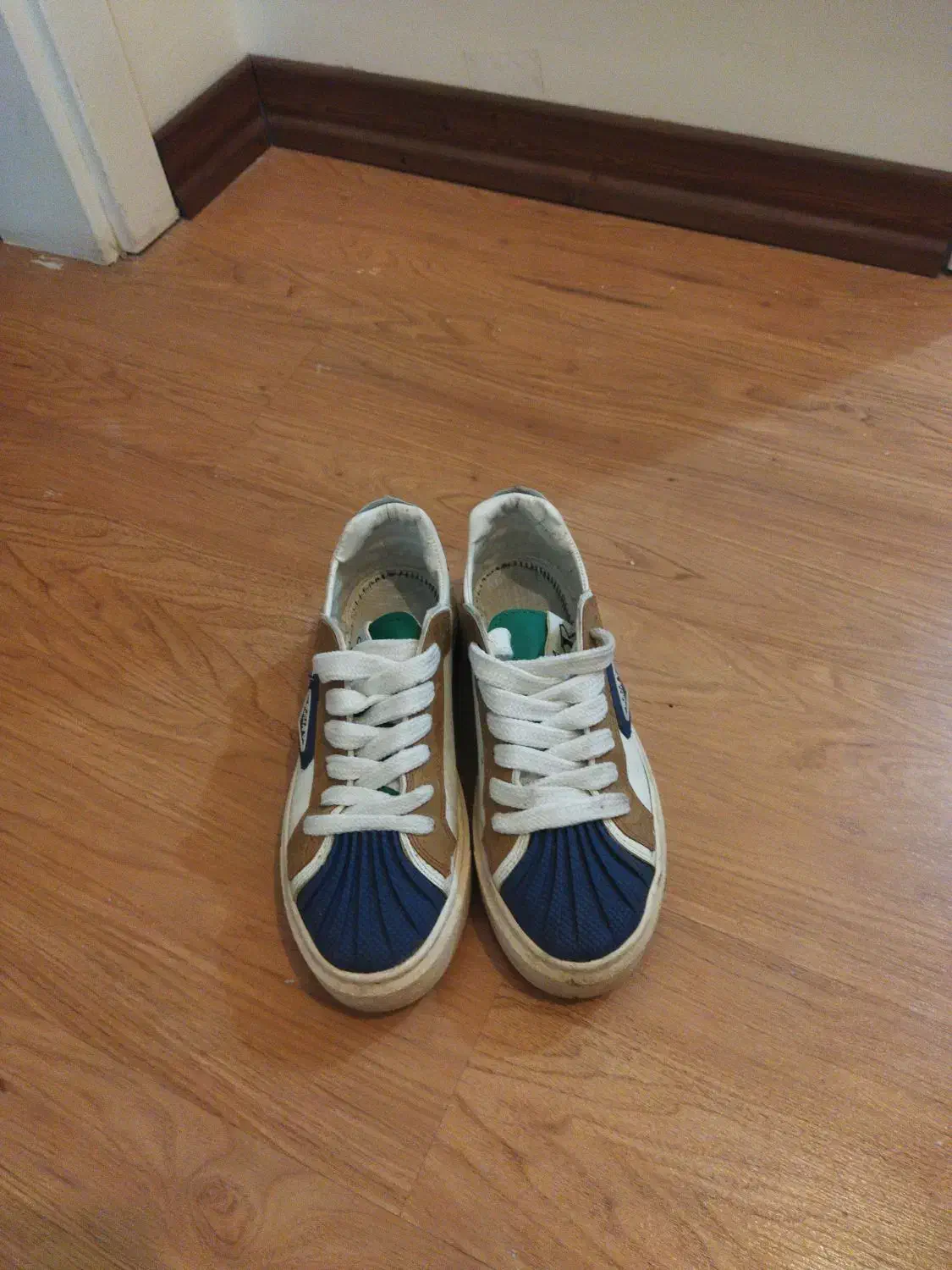 کفش ولف سایز ۴۲|کیف، کفش، کمربند|پرند, فاز ۵|دیوار