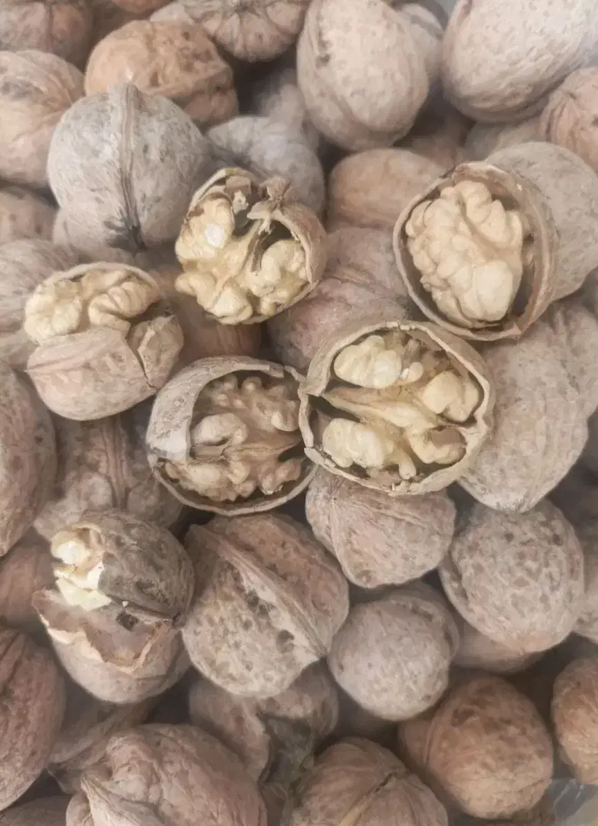 گردو پوست کاغذی تویسرکان ،بادام،مغز گردو،درجه ۱|خوردنی و آشامیدنی|شیراز, باغ تخت|دیوار