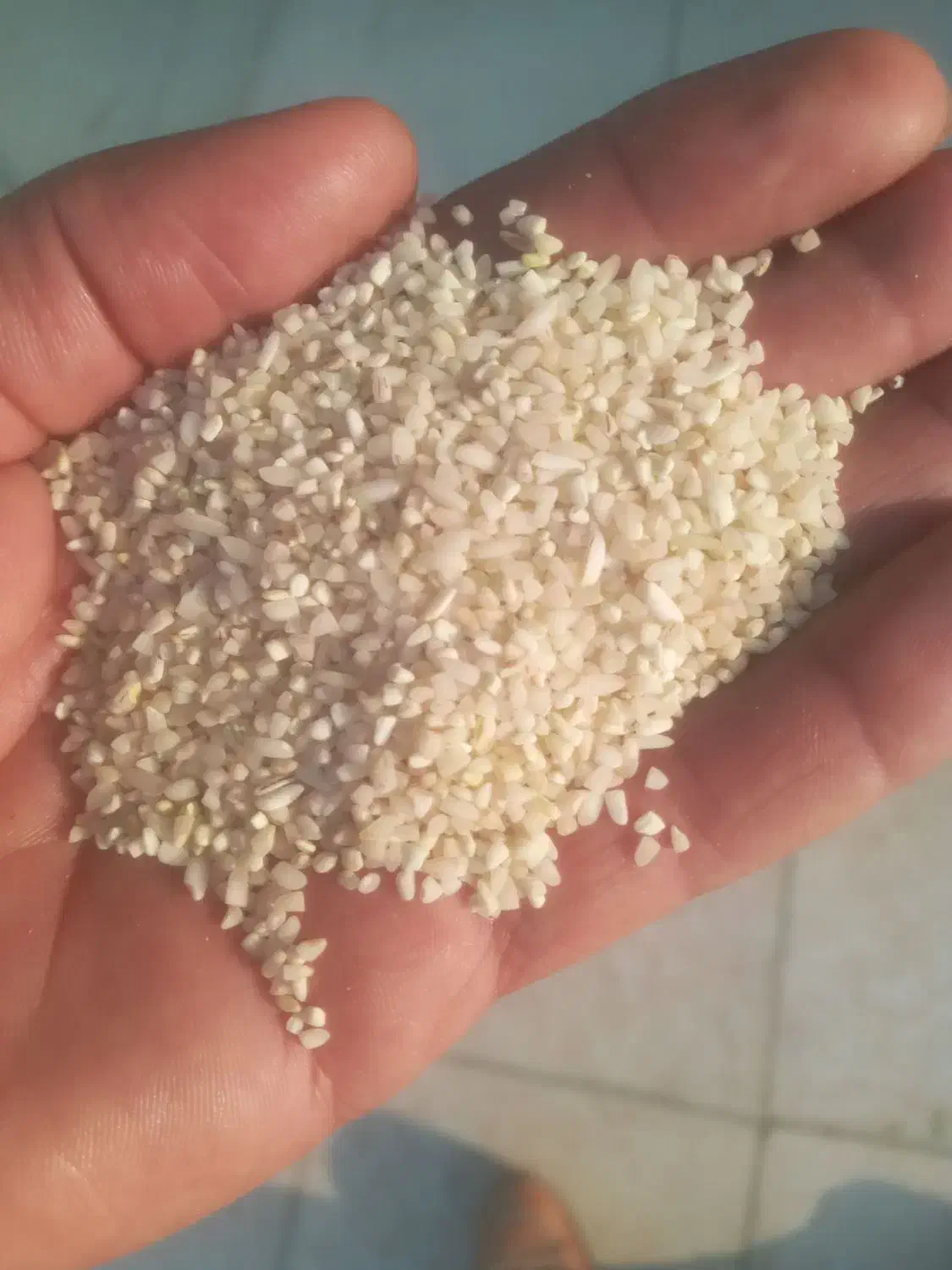 برنج نیم دانه|خوردنی و آشامیدنی|دورود, |دیوار