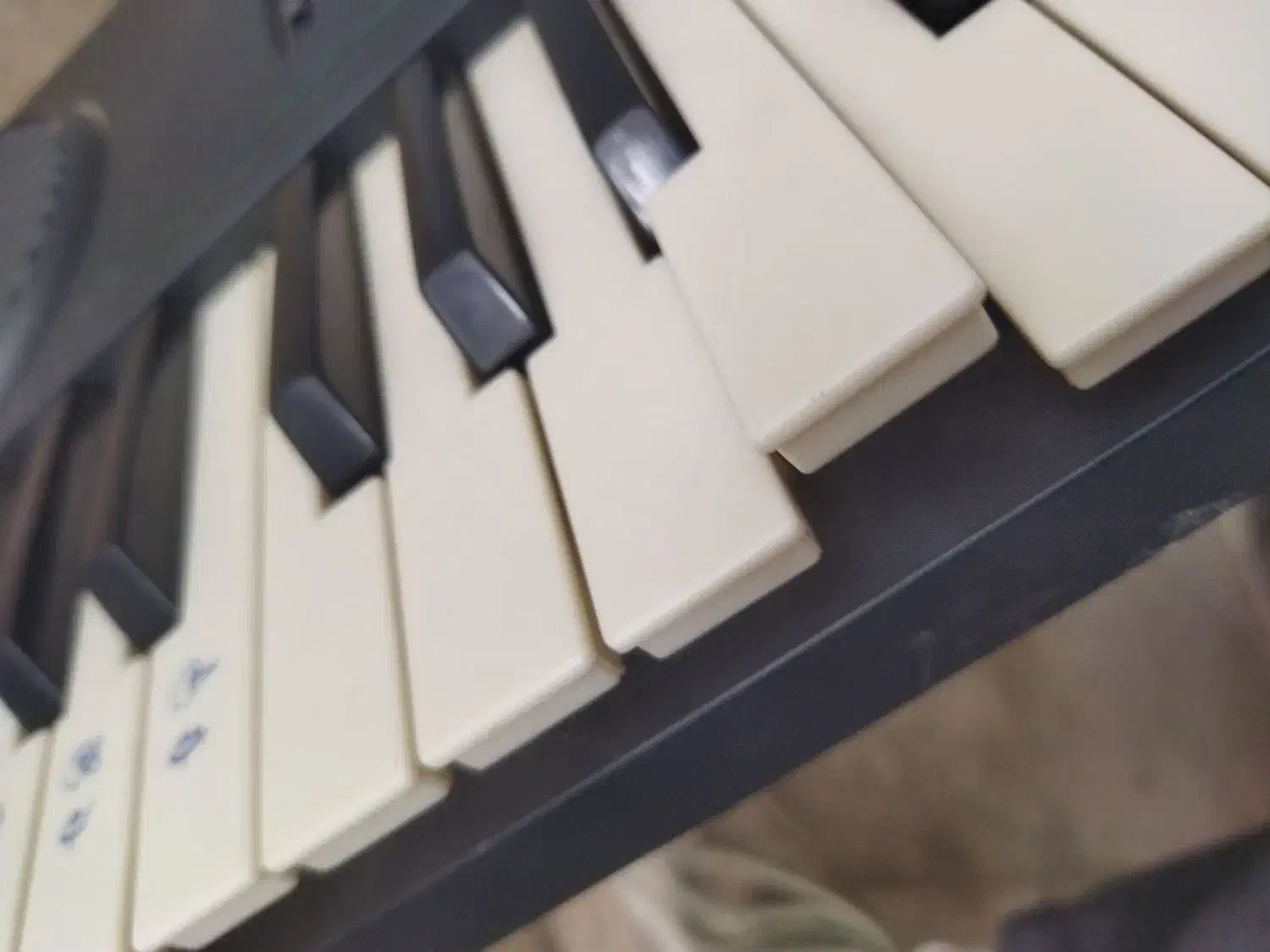 ارگ|پیانو، کیبورد، آکاردئون|گلبهار, شهر جدید گلبهار|دیوار