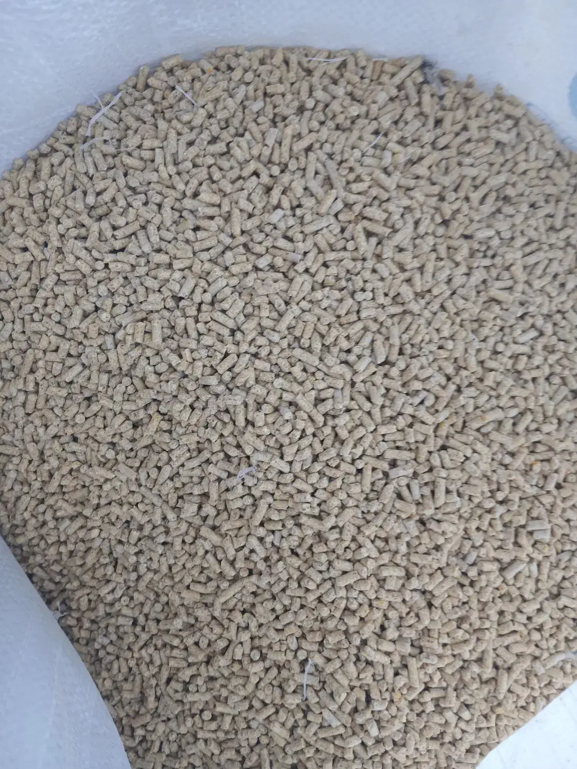 خوراک مرغی میان دان ۲|حیوانات مزرعه|کدکن, |دیوار