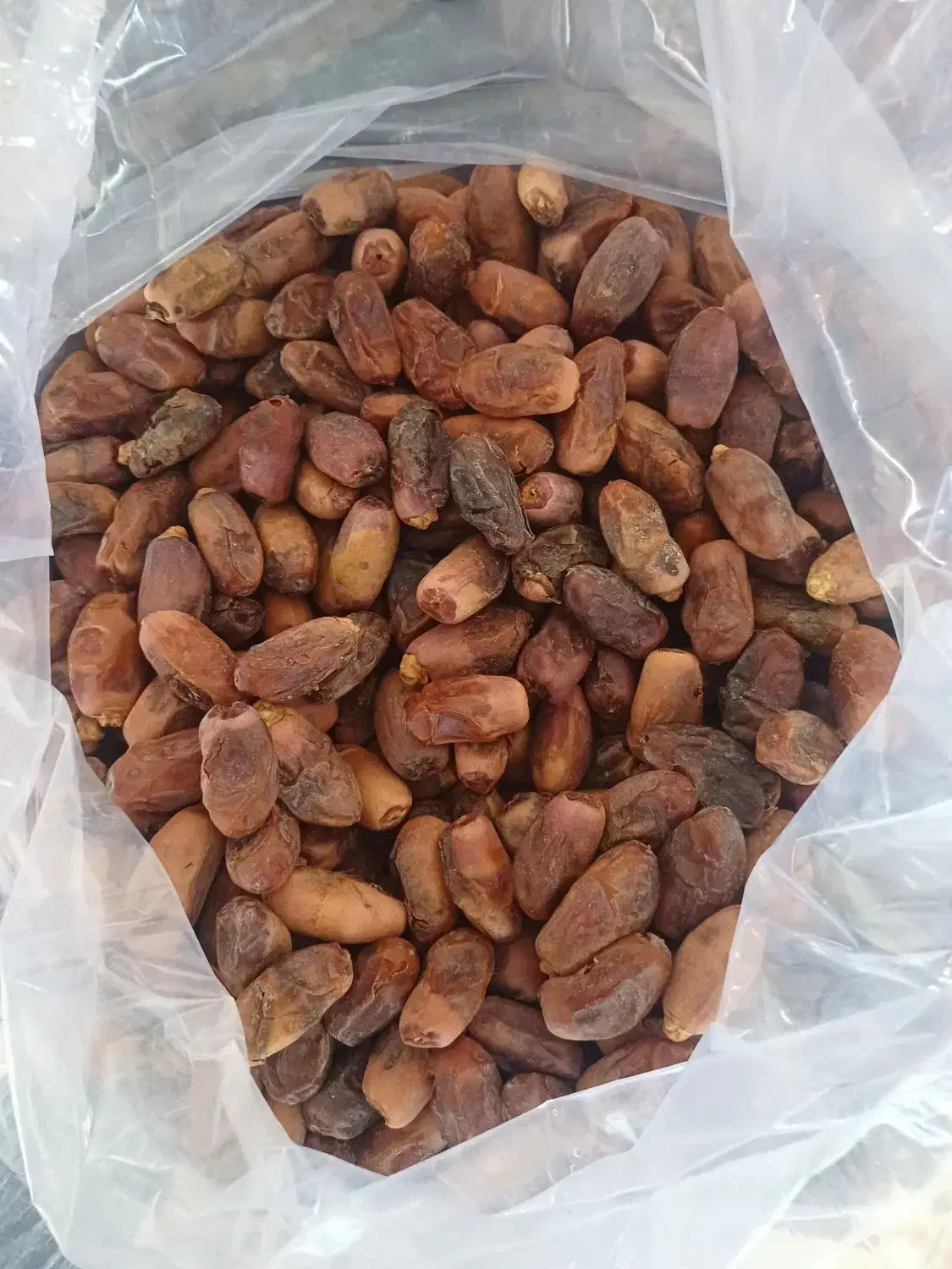 خرمای دیری درجه یک|خوردنی و آشامیدنی|اهواز, گیت بوستان|دیوار