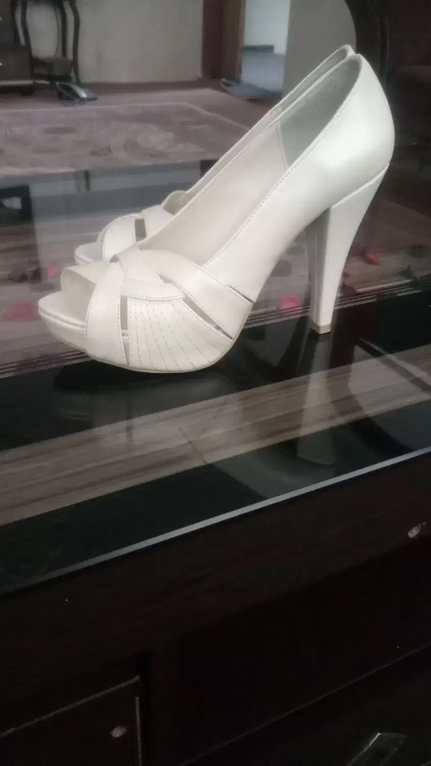 کفش مجلسی نو|کیف، کفش، کمربند|قروه, |دیوار