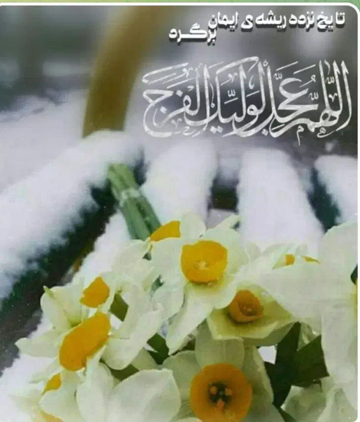 مداحی ومولودی خوانی به همراه دف|خدمات پذیرایی، مراسم|قم, نیروگاه|دیوار