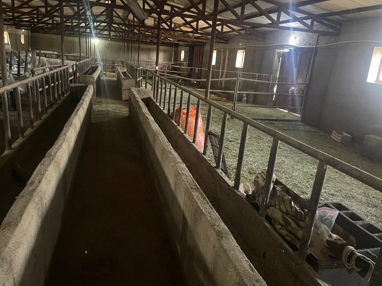 اجاره سالن و سوله|اجارهٔ دفتر صنعتی، کشاورزی، تجاری|سقز, |دیوار